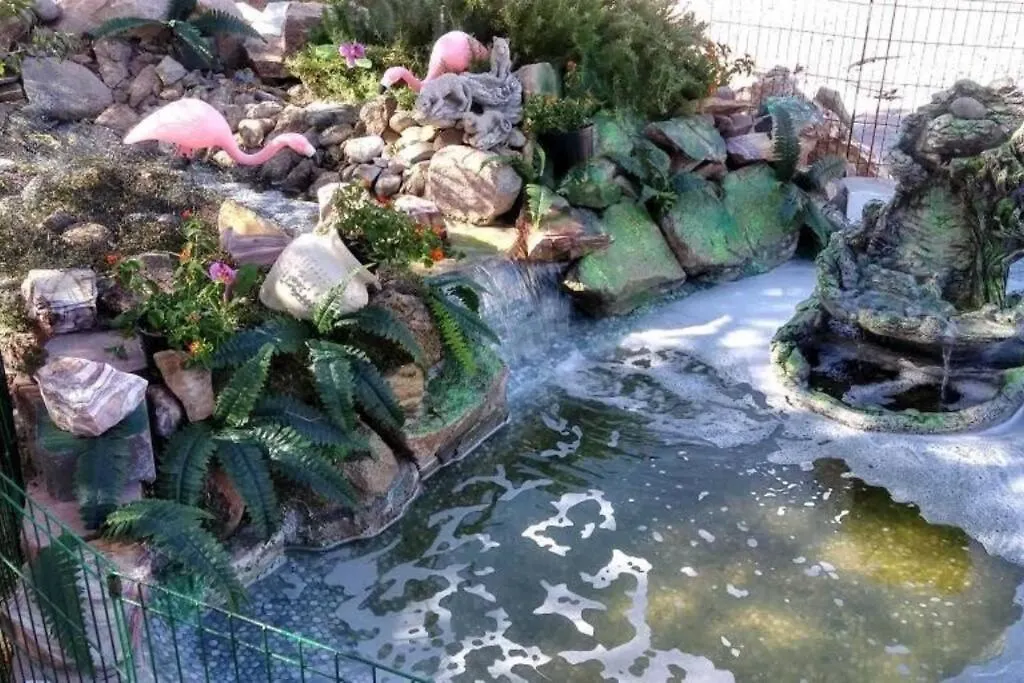 Enjoy Fruits Of Your Labours At Grape Dr- View 3D Las Vegas 0*,  ABD